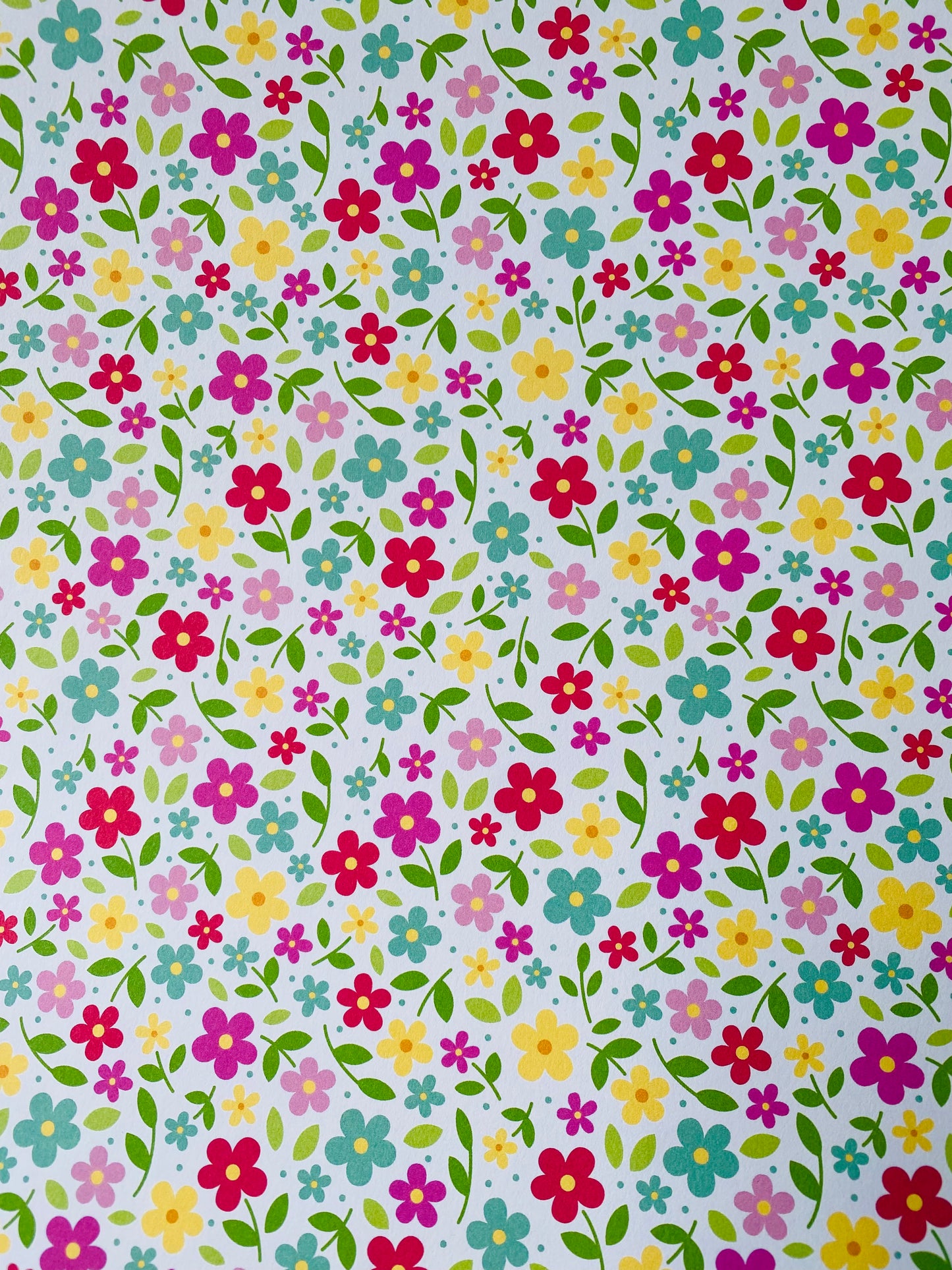 CARTULINA SCRAP